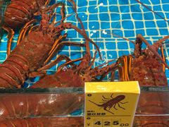 -三亚火车头万人海鲜广场