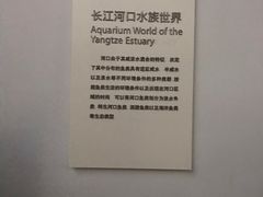 -上海长江河口科技馆
