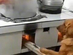 -张记炸串肠粉