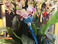 -湘寶缘(育英中学店)