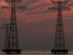 -宝安西湾红树林湿地公园