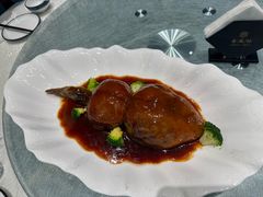 -丁老爷子苏香圆