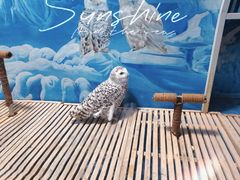 -成都浩海立方海洋公园