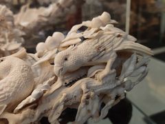 -尖沙咀