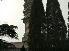 -赵州桥景区