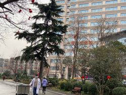 -河南中医药大学第一附属医院-医疗整形