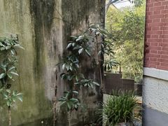 -胶囊画廊