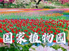 -国家植物园