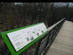-西湖风景区-江洋畈生态公园