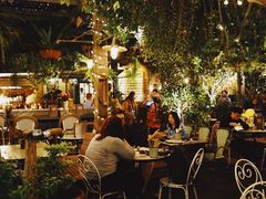 -The Grounds of Alexandria