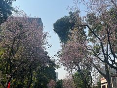 -广州雕塑公园