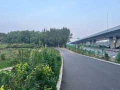 -丁香湖公园