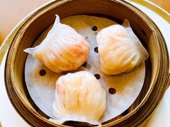 -广州富力君悦大酒店空中花园