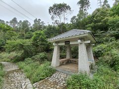 -旗岭森林公园