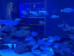 -上和臻品中国菜(花园街店)