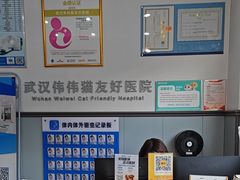 -伟伟宠物医院·瑞派猫友好医院·猫科(光谷店)