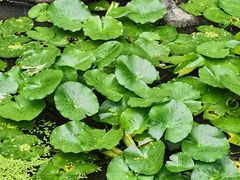 -苏州河梦清园环保主题公园