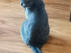 -猫爪屋猫咖(乐汇城店)