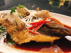 -上海新锦江大酒店