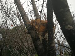 -金鸡山公园