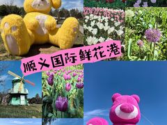 -北京国际鲜花港