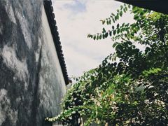 -乌镇景区