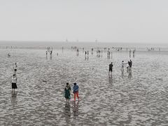 -奉贤海滩
