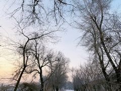 -雾凇岛