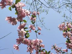 -郑州中国绿化博览园