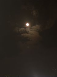 -自在瑜伽·普拉提馆MRBH