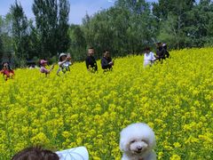 -长白岛森林公园