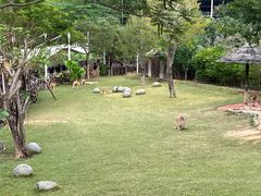 -泉州海丝野生动物世界