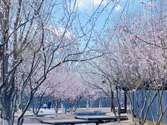 -三里河公园