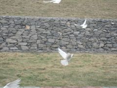 -南京金牛湖风景区
