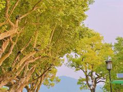 -杭州香格里拉·香宫中餐厅