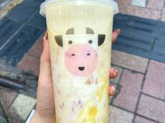 -一只酸奶牛(八一路店)