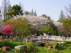-苏州上方山国家森林公园