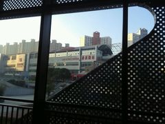 -上海旅游集散中心(万体站)