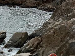 -广东惠东海龟国家级自然保护区