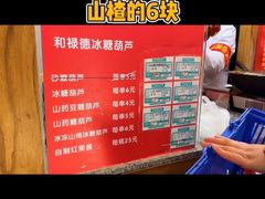 -和禄德冰糖葫芦