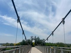 -西青郊野公园
