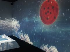-火影忍者动画多媒体展