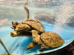 -耕渔小院·湖南鱼鲜(望城店)