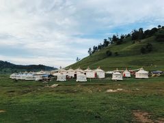 -关山牧场王师烤全羊