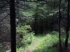 -芦芽山旅游度假区
