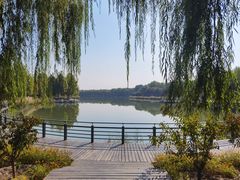 -大兴滨河森林公园