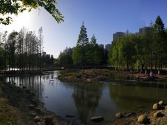 -白塘生态植物园