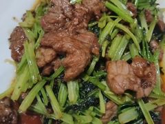 -呼吸森林·生态农庄农家乐私房菜