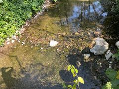 -桂林古东瀑布景区