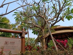 -厦门日月谷温泉渡假村